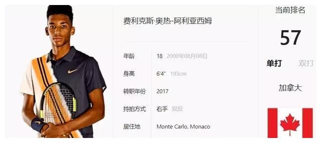 专家的指导 专家的指导