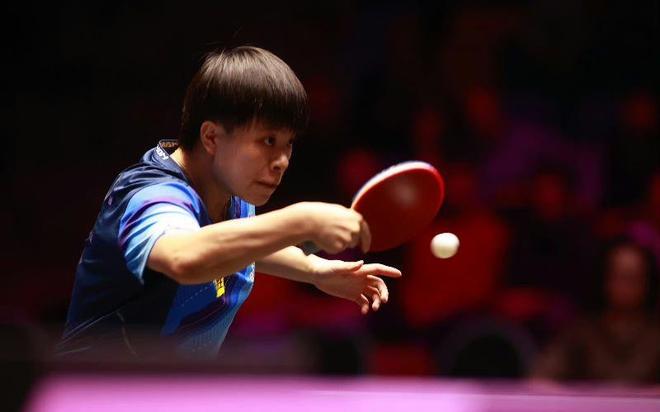 不得不在今 不得不在今